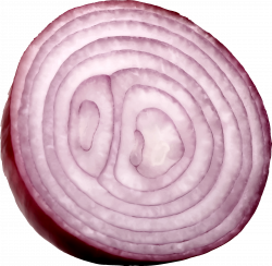 Clipart - Cut red onion