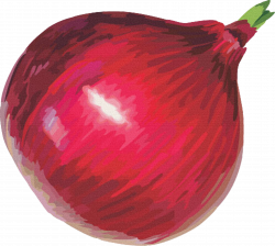 Red onion Free content Clip art - Red onion 1890*1696 transprent Png ...