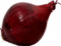 Clipart - Red onion