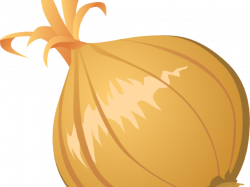 Onion Clipart root crop - Free Clipart on Dumielauxepices.net