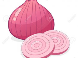 Free Onion Clipart, Download Free Clip Art on Owips.com