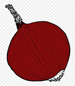 Single Onion Png Image Clipart (#2349565) - PinClipart