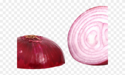 Onion Clipart Sliced Onion - Red Onion Png Transparent Png ...