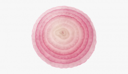 Onion Clipart Sliced Onion - 1 Slice Of Onion #293122 - Free ...