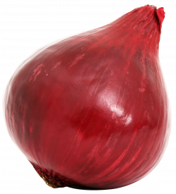 Red Onion Bulb PNG image - PngPix