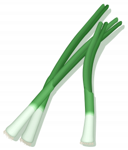 File:Green-onions.svg - Wikimedia Commons