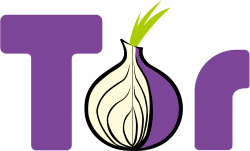 File:Tor-logo-2011-flat.svg - Wikimedia Commons
