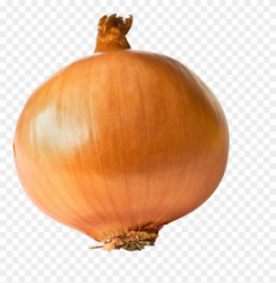 Onion Free Transparent Images - One Onion Clipart (#3211276 ...