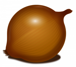 Onion PNG images, free download