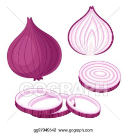 Vector Illustration - Red onion illustration set. Stock Clip ...