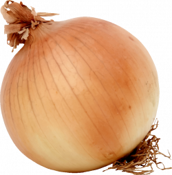 Clipart - Onion