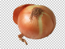 Yellow Onion Shallot Food Eating Nutrition PNG, Clipart ...