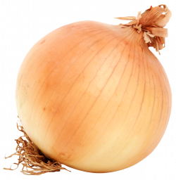 Brown Onion PNG Image - PurePNG | Free transparent CC0 PNG Image Library