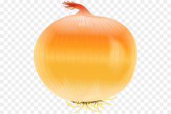 Onion Cartoon clipart - Vegetable, Pumpkin, Orange ...