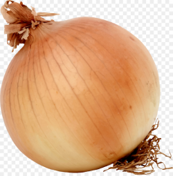 Onion Cartoon clipart - Vegetable, Food, transparent clip art