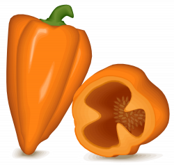 File:Habanero peppers.svg - Wikimedia Commons
