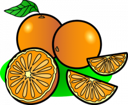 Image oranges food clip art - Cliparting.com
