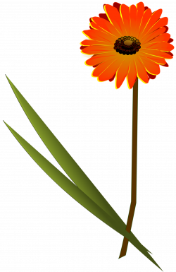 Clipart - flowers gerbera