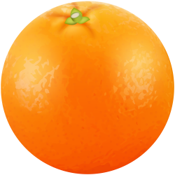 Orange Fruit PNG Clip Art Image | Gallery Yopriceville ...