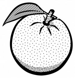 Fruit black and white oranges clipart black and white logo ...