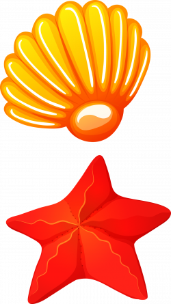 Seafood Seashell Clip art - Shells starfish 1300*2316 transprent Png ...