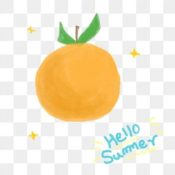 2019 的 Summer Oranges Hand Drawn Elements Hello, Summer ...