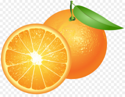 Lemon Background clipart - Food, Grapefruit, transparent ...