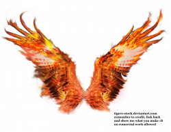 Phoenix Wings Drawing at GetDrawings.com | Free for personal use ...