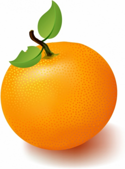 Orange fruit clipart free vector download (6,796 Free vector) for ...
