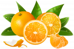 Oranges PNG Clipart Image | Gallery Yopriceville - High-Quality ...