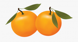 Orange - Clipart - Oranges Clipart Png #80874 - Free ...