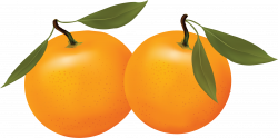 Orange Clip Art Free | Clipart Panda - Free Clipart Images