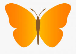 Butterfly Clipart Black And White - Orange Butterfly Clipart ...