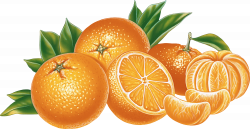Orange and Mandarin PNG Image - PurePNG | Free transparent CC0 PNG ...