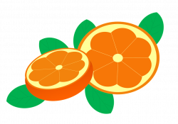 Collection of Oranges Clipart | Buy any image and use it for free ...
