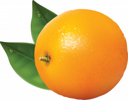 Orange | Oranges PNG Image - PurePNG | Free transparent CC0 PNG ...