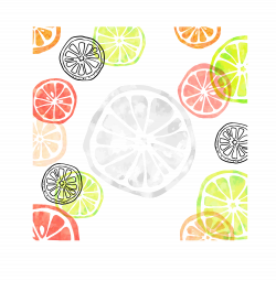 Euclidean vector Clip art - Oranges grapefruit cartoon hand painted ...