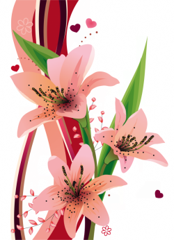 ForgetMeNot: Flowers - Lilies