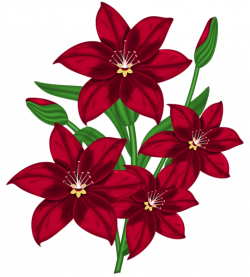 ForgetMeNot: Flowers - Lilies