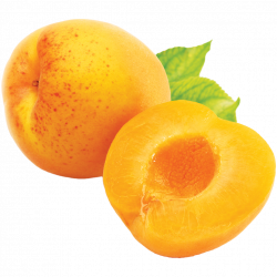 Apricot / Image ID: 1033 | PNG Photo with Transparent Background