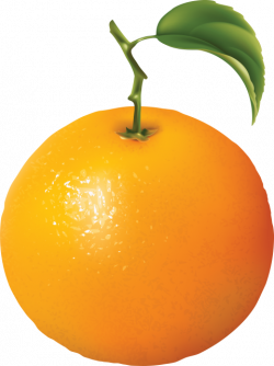 orange | oranges png - Free PNG Images | TOPpng