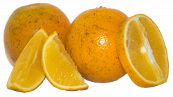 Fresh Orange Juice - Owl & Goose