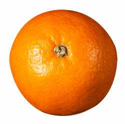 Orange Top View png - Free PNG Images | TOPpng