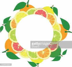 round frame from slices and whole lemons, oranges, lime ...