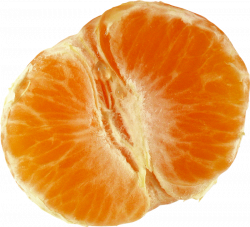 ForgetMeNot: Fruits - oranges