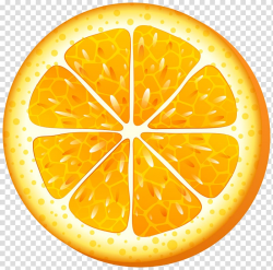 Orange , oranges transparent background PNG clipart | PNGGuru