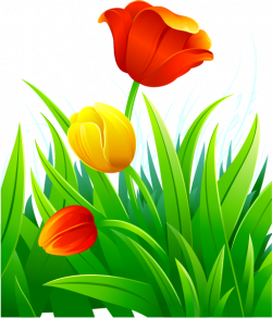 ForgetMeNot: Flowers - Tulips