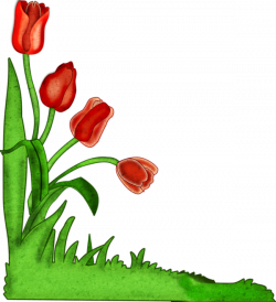 ForgetMeNot: Flowers - Tulips