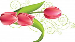 ForgetMeNot: Flowers - Tulips