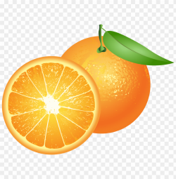 Download oranges clipart png photo | TOPpng